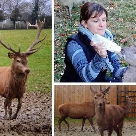 Σπίτι διακοπών Du Brame *