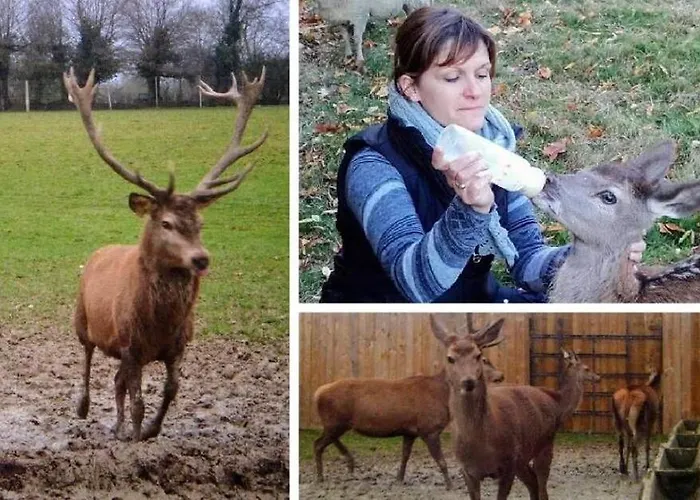 Prázdninový dům Du Brame *